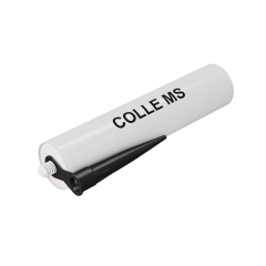 COLLE MS